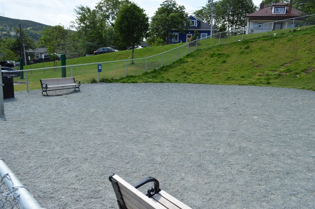 dog park at Victoria Park 
