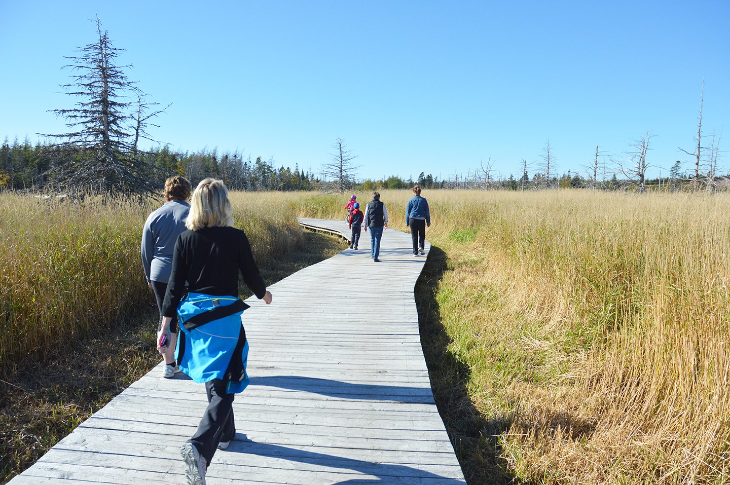 walking trail at Bidgood Park 