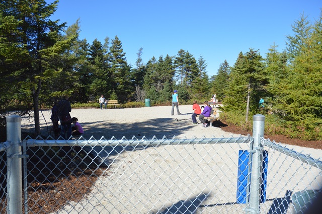 Bidgood's Dog Park