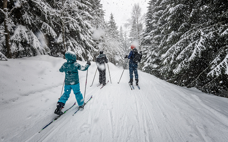 people cross country skiing
